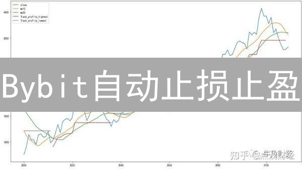 Bybit自动止损止盈：新手必看！高效管理风险，锁定收益！