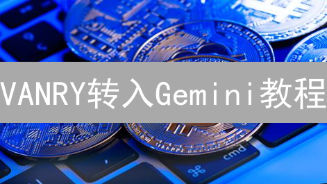VANRY转入Gemini教程：3步搞定，安全无忧！